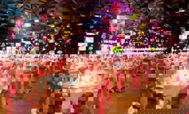 Asian Wedding 9
