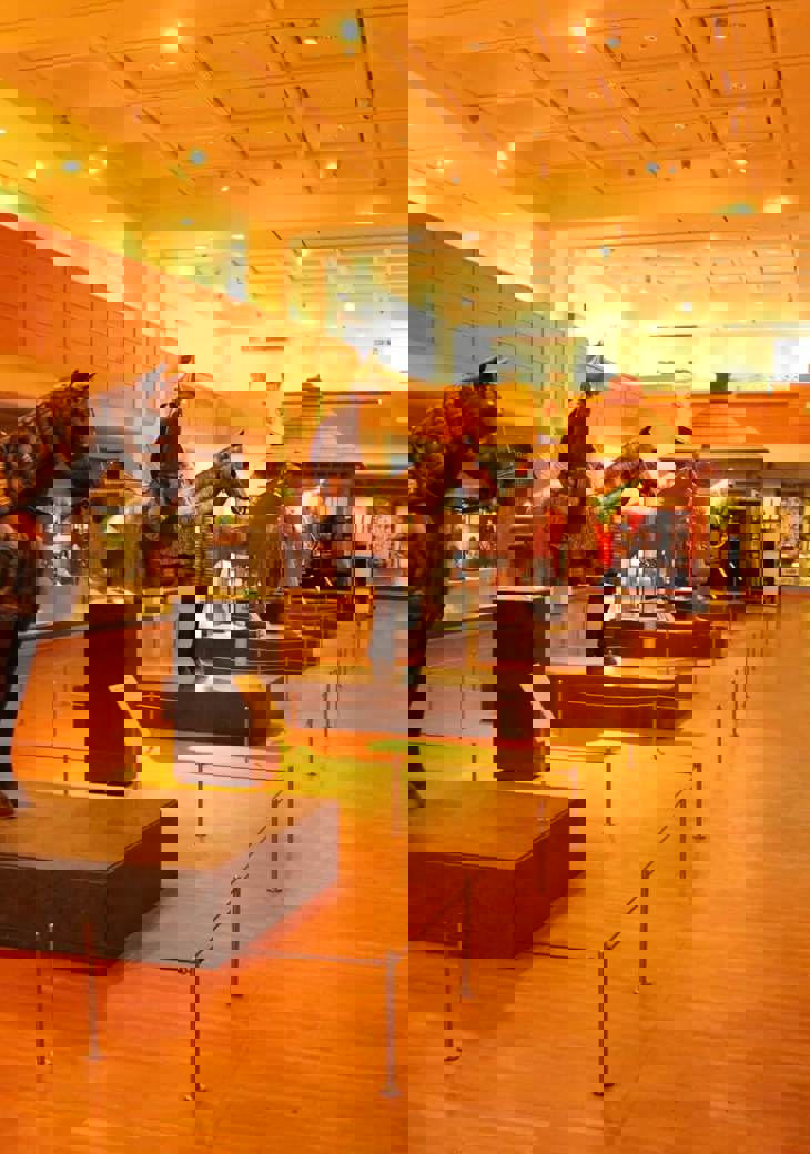 29560244035 8E9ee4b704 O (1)