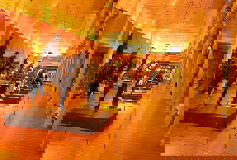 29560244035 8E9ee4b704 O (1)