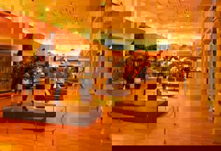 29560244035 8E9ee4b704 O (1)