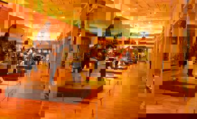 29560244035 8E9ee4b704 O (1)