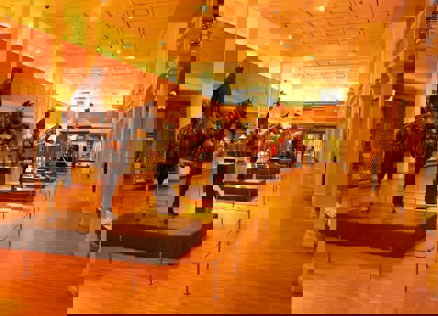 29560244035 8E9ee4b704 O (1)